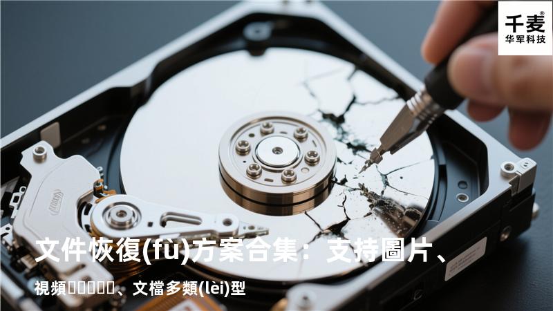文件恢復(fù)方案合集：支持圖片、視頻、文檔多類(lèi)型 